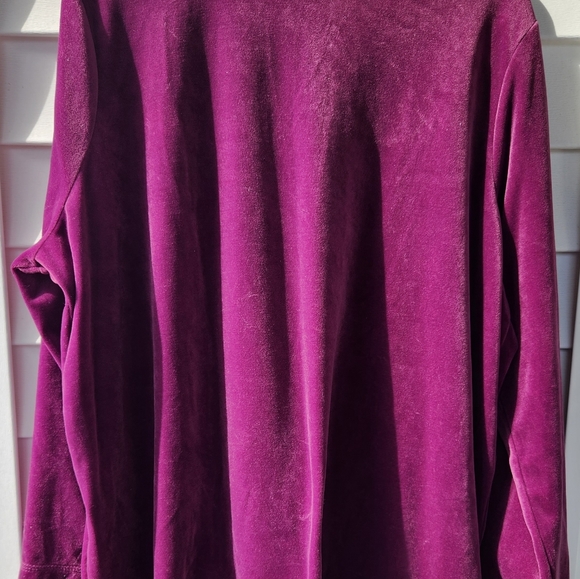 Woman Within Plush Velvet Long Sleeve Top Purple Wine colored Size 1X - Picture 4 of 6